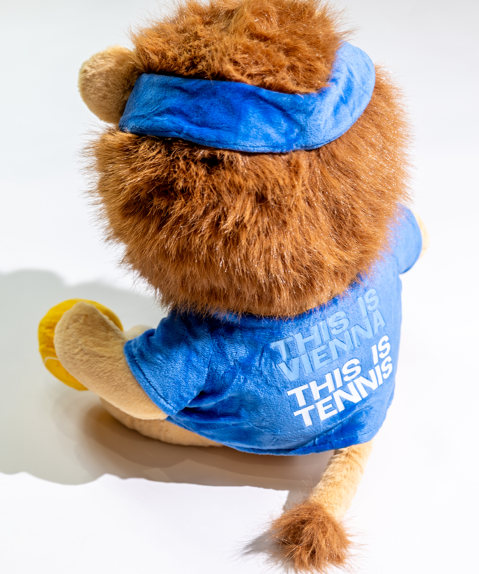Lion_03.png