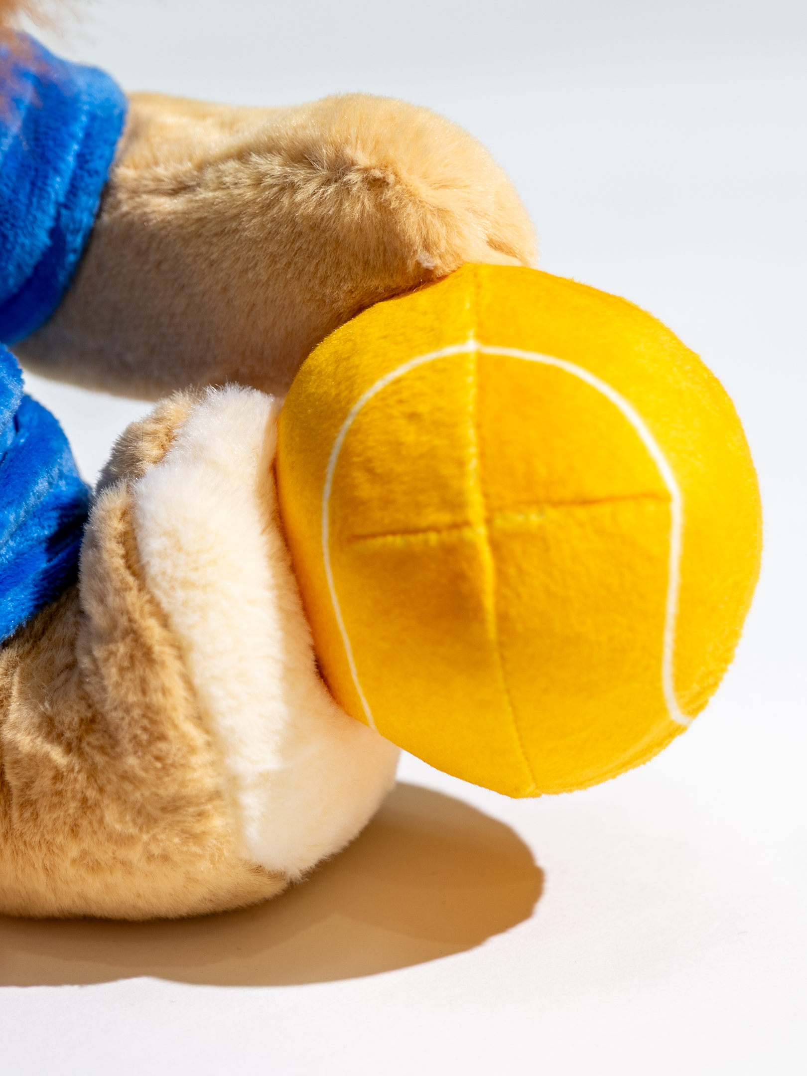 "LEO" the Tennis Lion